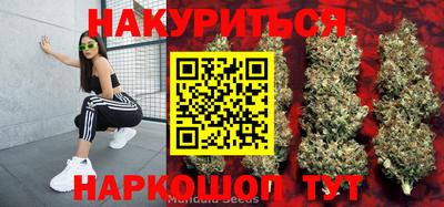СК Будённовск