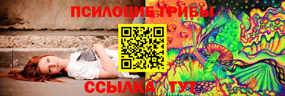 сколько стоит  Галлюциногенные грибы Cubensis  Вход с VPN  Псилоцибиновые грибы MAGIC MUSHROOMS  Петровск 