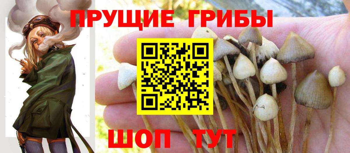 Галлюциногенные грибы GOLDEN TEACHER Петровск